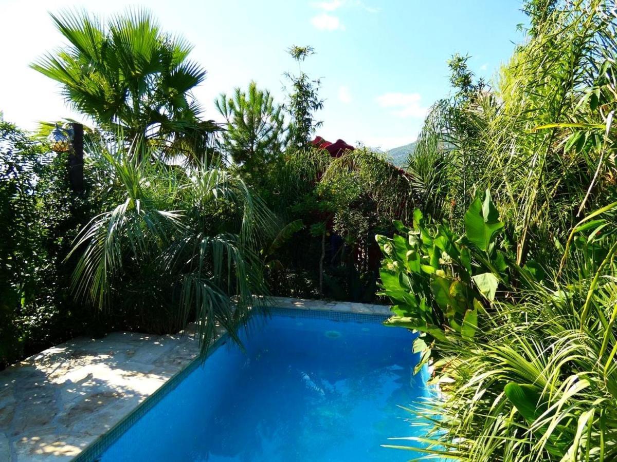 Villa Tropica, Total Privacy, Tropical Garden And Private Pool คาชเตลา ภายนอก รูปภาพ