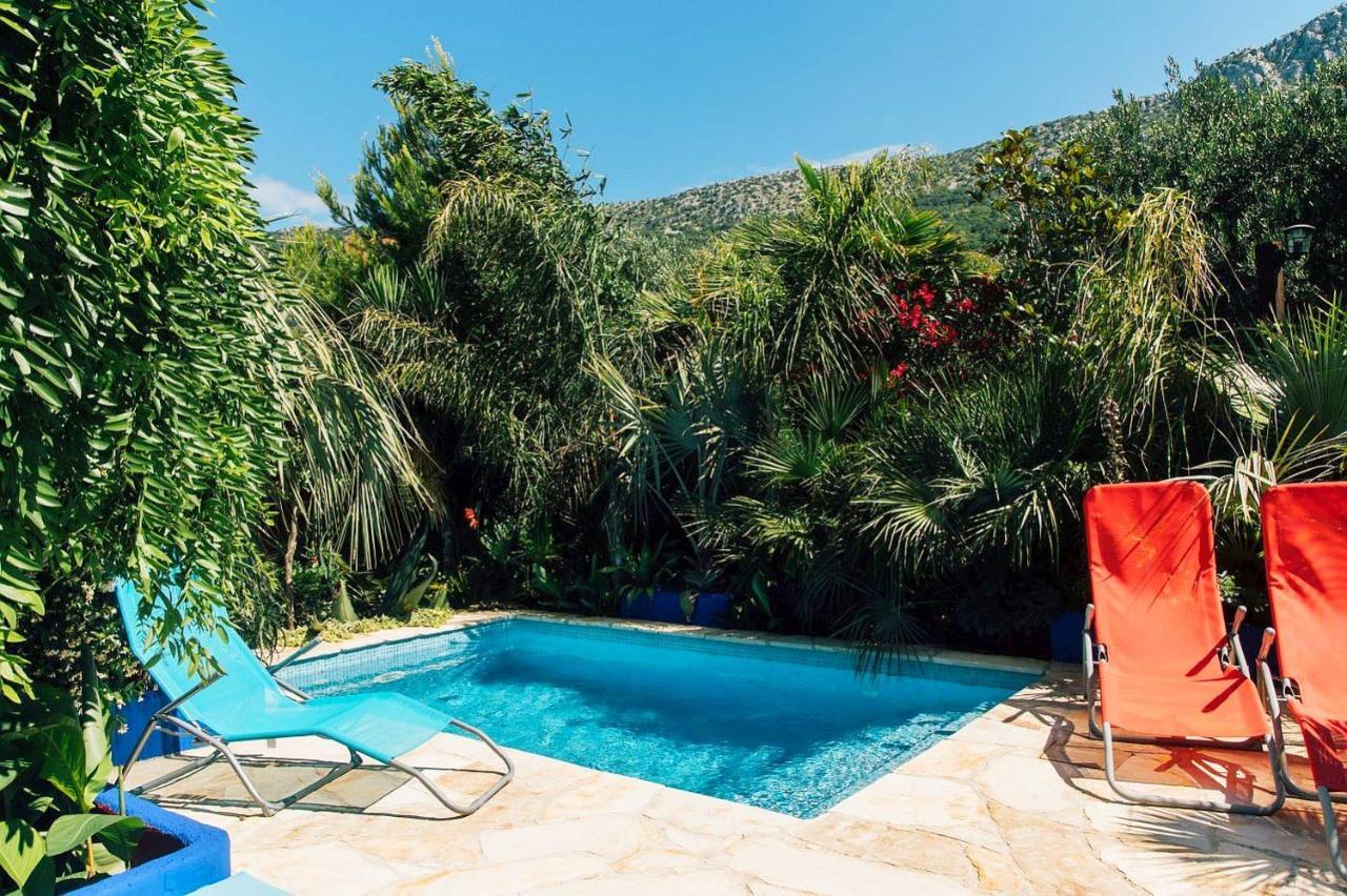 Villa Tropica, Total Privacy, Tropical Garden And Private Pool คาชเตลา ภายนอก รูปภาพ