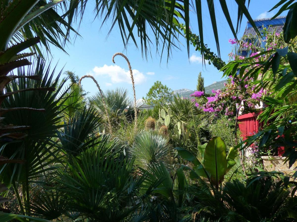 Villa Tropica, Total Privacy, Tropical Garden And Private Pool คาชเตลา ภายนอก รูปภาพ